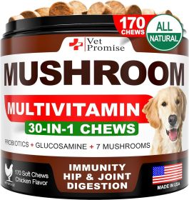 Mushroom for Dogs 170 Chews Turkey Tail Mushroom for Dogs Mushroom Supplement for Dogs Lions Mane Reishi Immunity Support Multivitamin Joint Heal