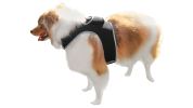 Wireless GPS Tracking Collars for Hunting Dogs Realtime Tracking Tool Size:M