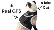 Wireless GPS Tracking Collars for Hunting Dogs Realtime Tracking Tool Size:M