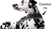 Long Range Tracking Pet Tracker GSM GPS Tracking Collars for Hunting Dogs Size:L