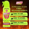 HALT! Handheld Fire Fighting Foam Spray ‚Äì Non-Toxic, Easy to Use, Store, and Find in Emergency ‚Äì Compact & Portable ‚Äì Ideal for Home, Kitchen